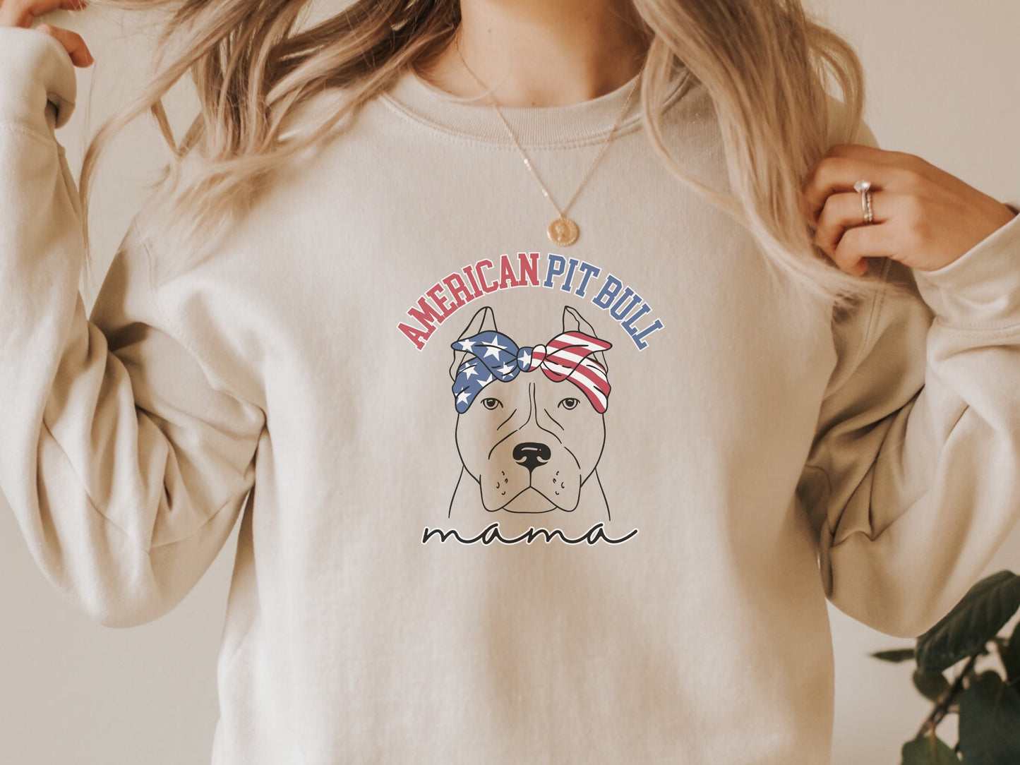 4th of July Pit Bull Sweatshirt